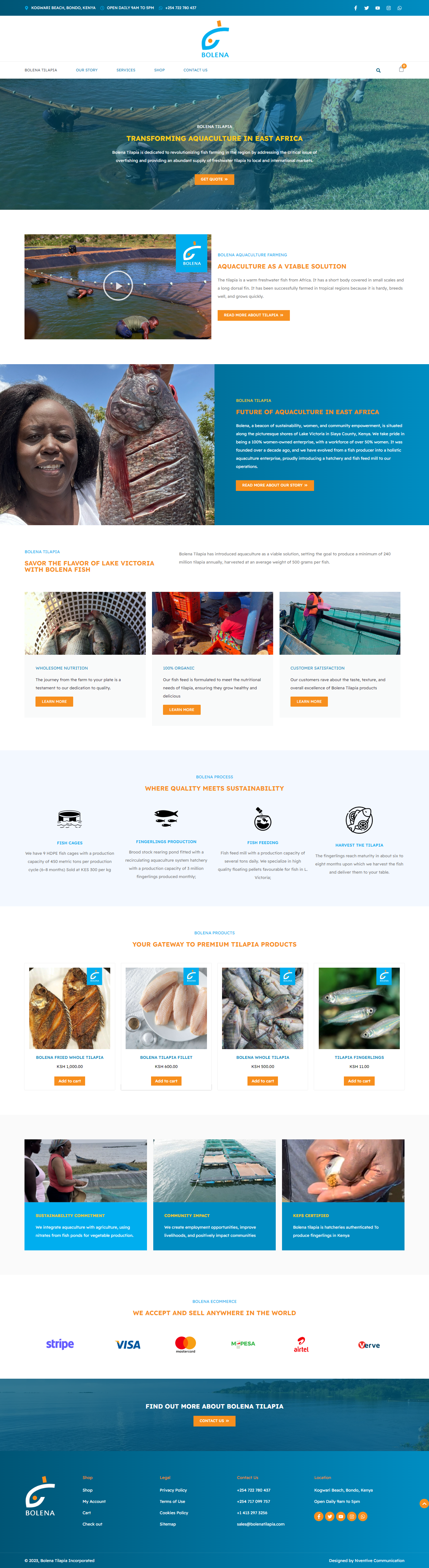 Bolena Tilapia Website Development by Nventive Communication 3